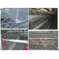 Cheap Automatic Poultry Equipment Chicken Cage for Farm Use